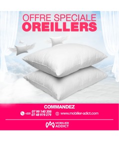 02 Oreillers Orthopédiques