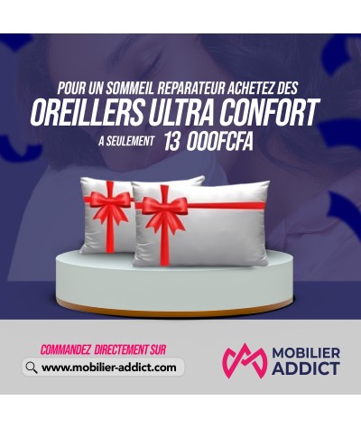 02 Oreillers Ultra-confort chez Mobilier Addict